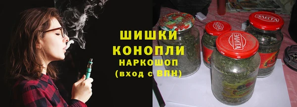 PSILOCYBIN Великий Новгород