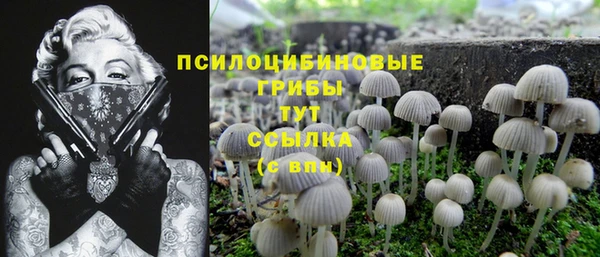 PSILOCYBIN Великий Новгород