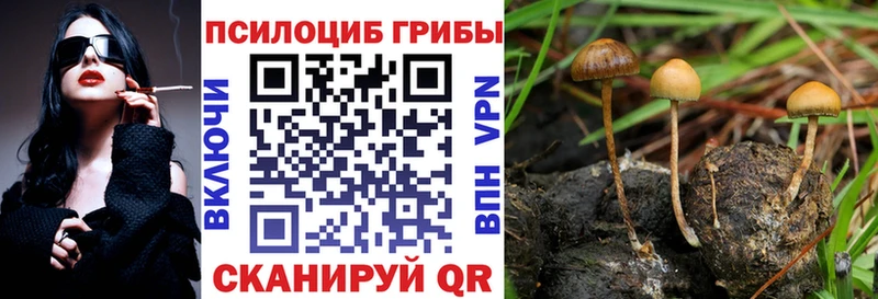 наркотики  Миасс  Псилоцибиновые грибы Cubensis 